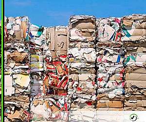 Destruição de arquivo morto Destruição de arquivo morto