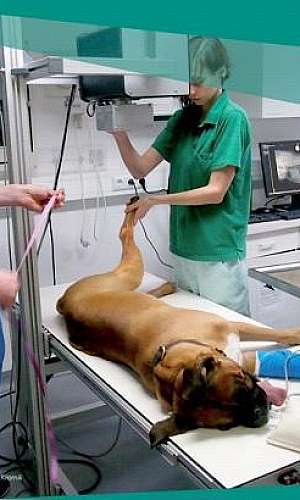 Máquina de raio x veterinário	